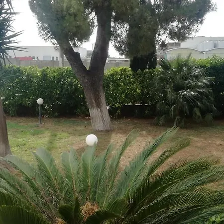 The Orange Groove Bed & Breakfast