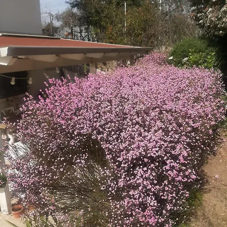 The Orange Groove Bed & Breakfast