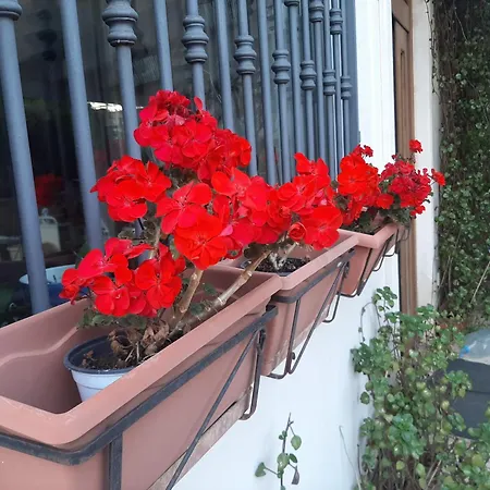 The Orange Groove B&B *