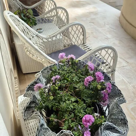 Bed & Breakfast The Orange Groove Bari