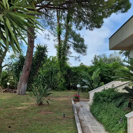 The Orange Groove Bed and breakfast