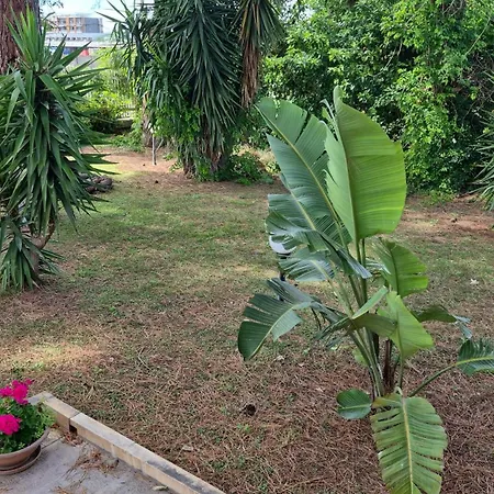 The Orange Groove 3* Bari