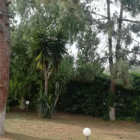 The Orange Groove Bari