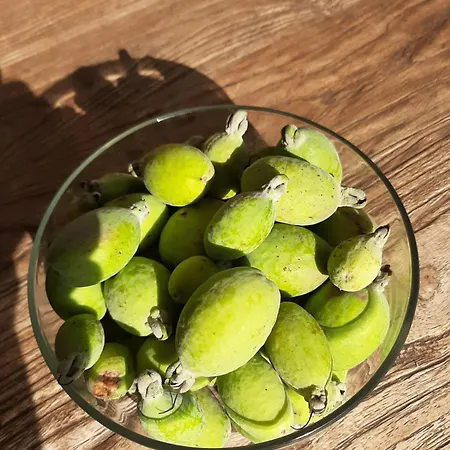 Bed & Breakfast The Orange Groove 3*