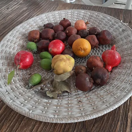 The Orange Groove Bari