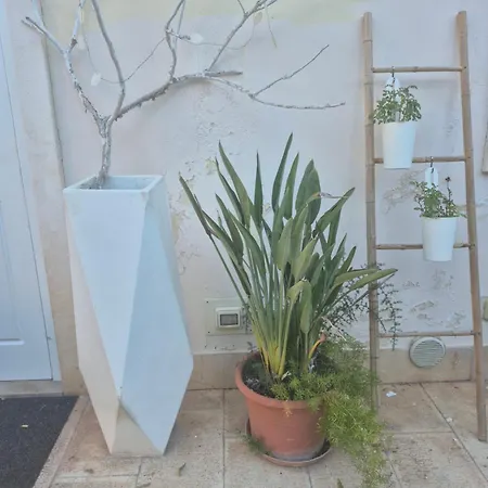 The Orange Groove Bed & Breakfast 3*