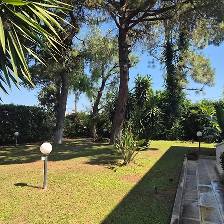 The Orange Groove Bari