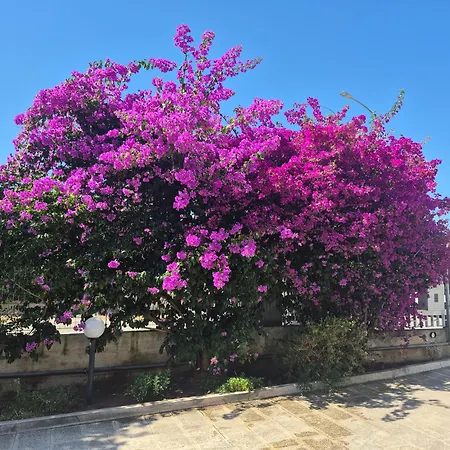 The Orange Groove Bed & Breakfast 3*