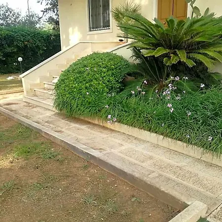 The Orange Groove Bed & Breakfast Bari
