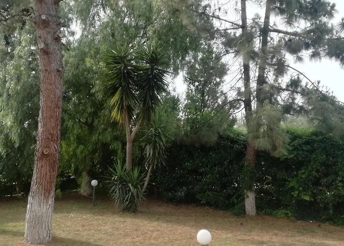 The Orange Groove Bari