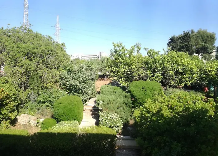 The Orange Groove Bari