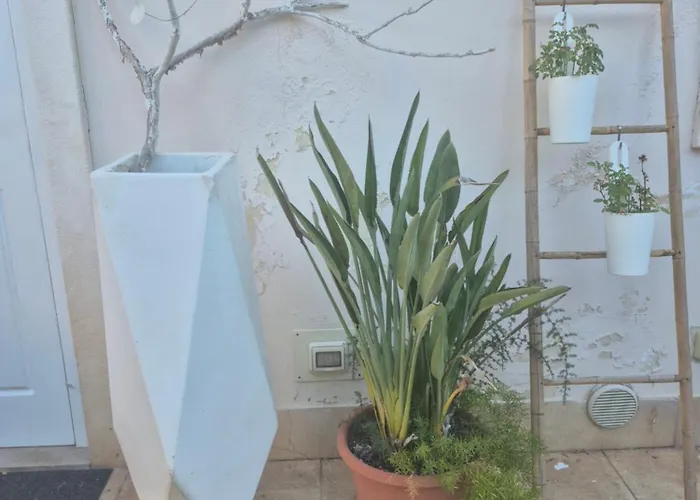 The Orange Groove Bed & Breakfast 3*