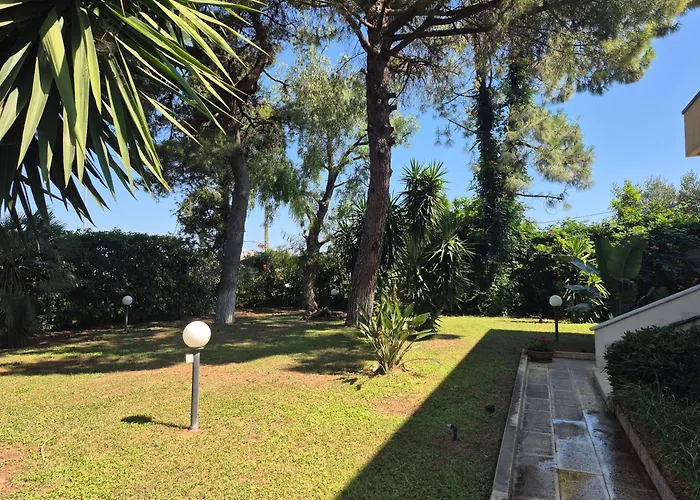 The Orange Groove Bari