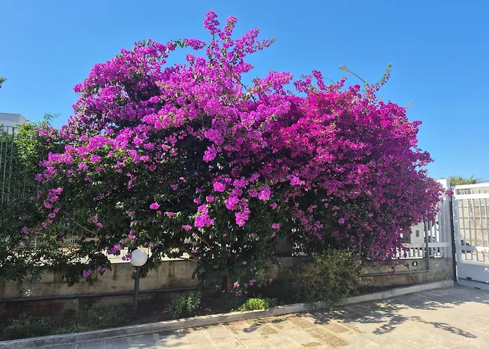 The Orange Groove Bed & Breakfast 3*